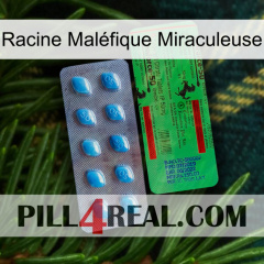 Racine Maléfique Miraculeuse new03